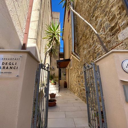 B&B Degli Aranci Palinuro Eksteriør bilde